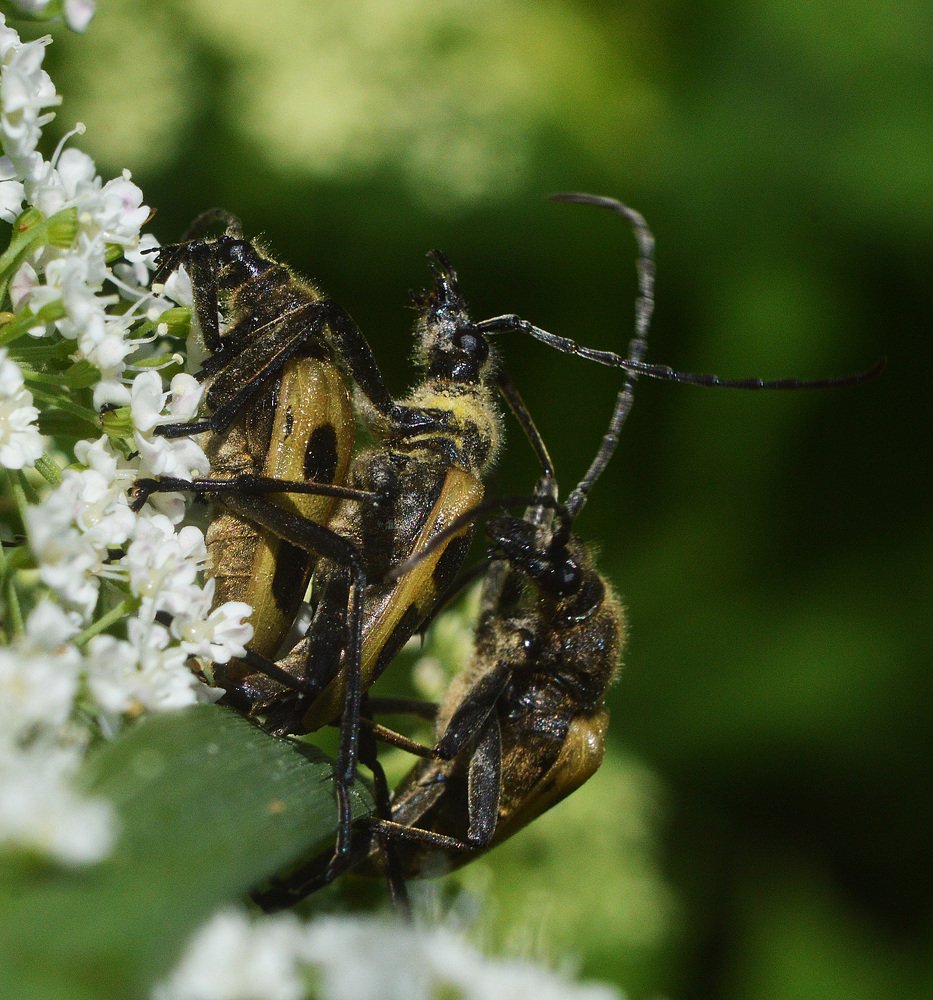 Фотография автора Сергей Суворов