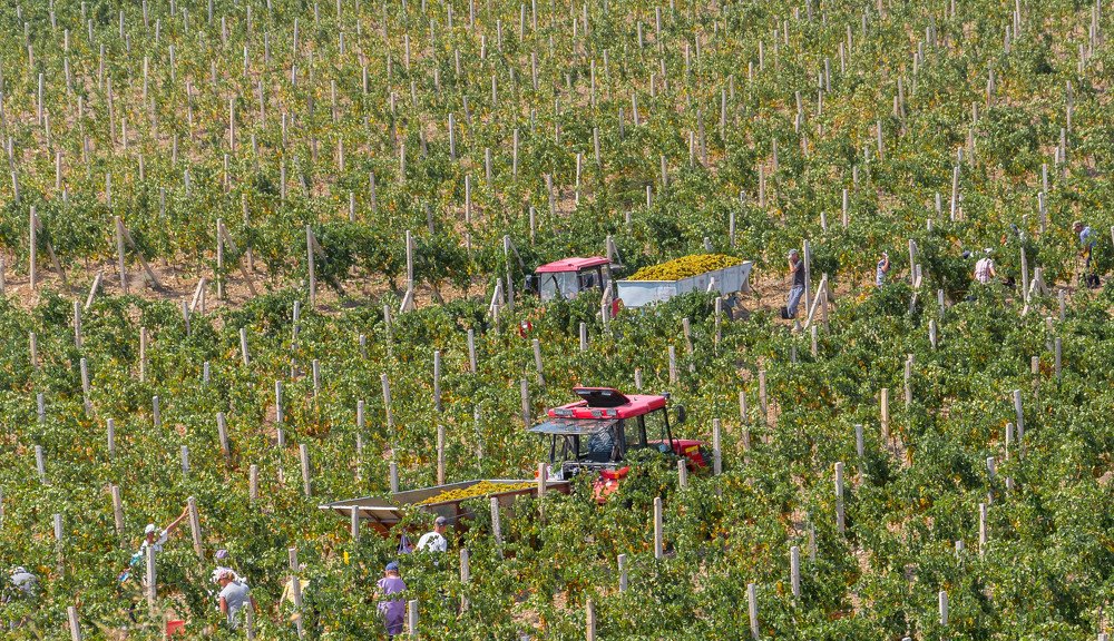 Photograph by Андрей Муравин