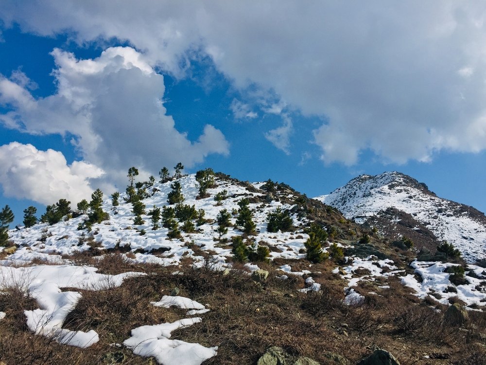 Photograph by Wisal Sajad Ali