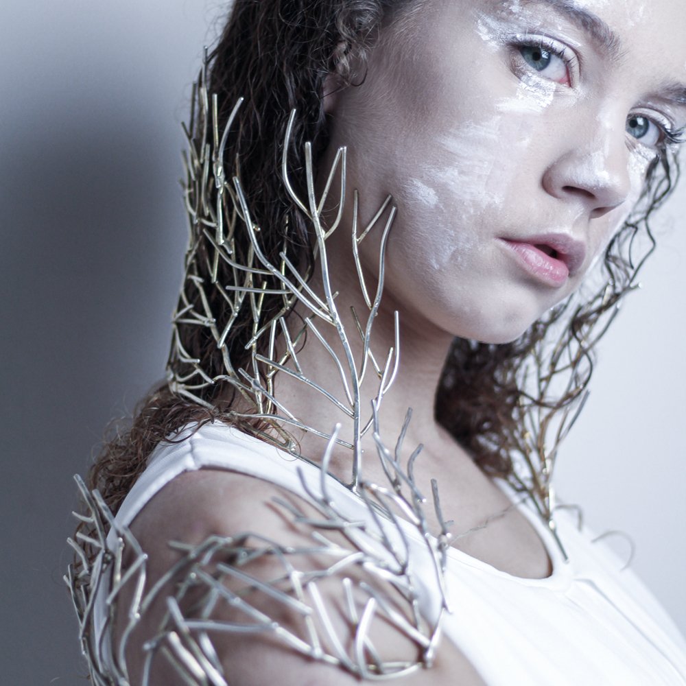 Photograph by Stevan Pesic