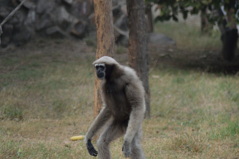 Photograph by Suhans Bansal