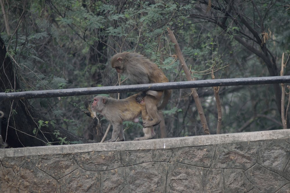 Photograph by Suhans Bansal