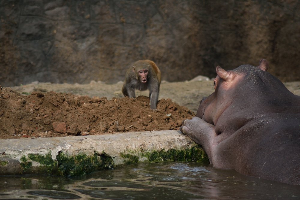 Photograph by Suhans Bansal