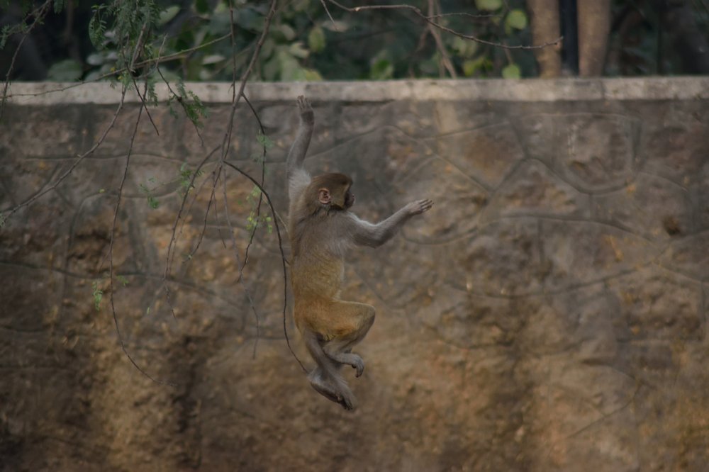 Photograph by Suhans Bansal