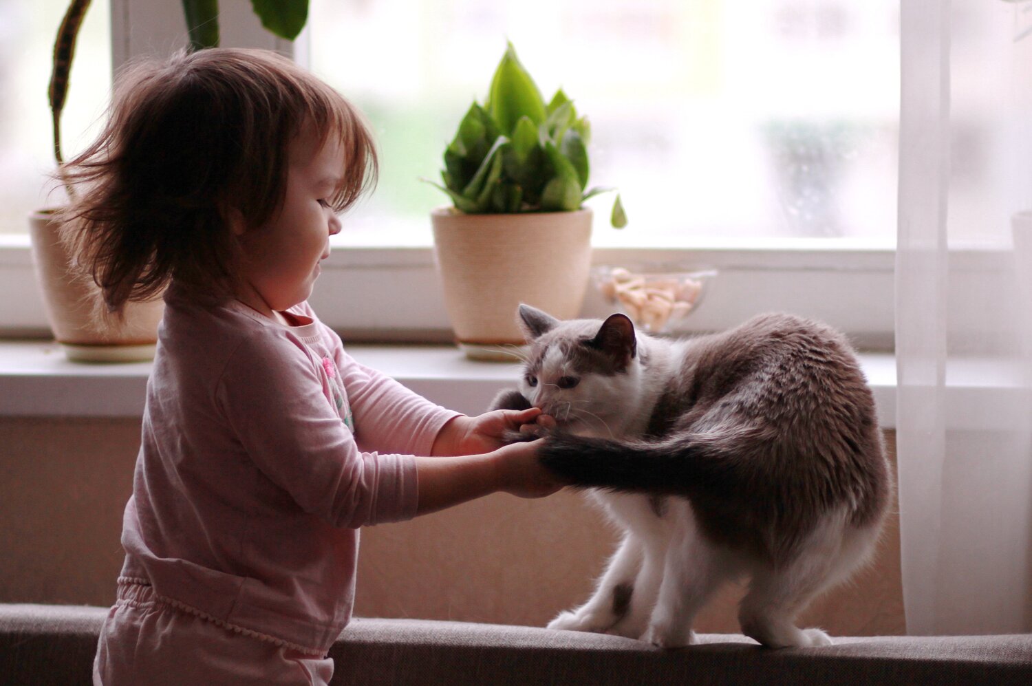 Photo #4215669