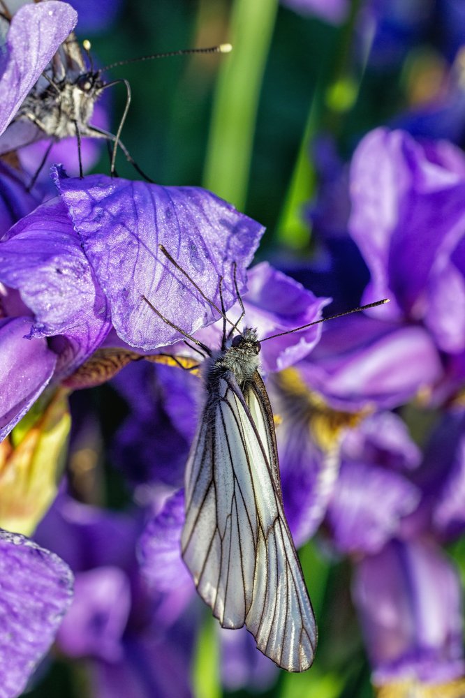 Photograph by Victor Pruhnitskiiy