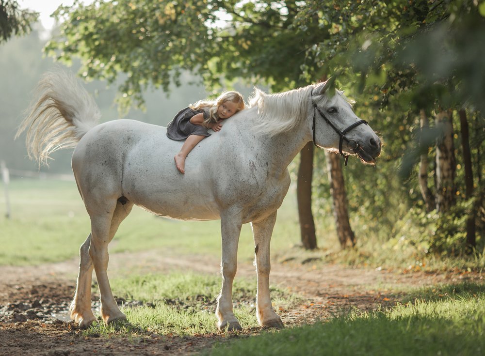 Photograph by Наталья Домбак