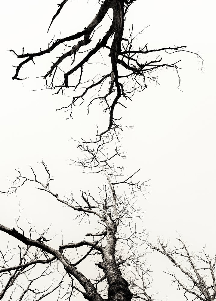 Photograph by Иосиф Ванюшенко