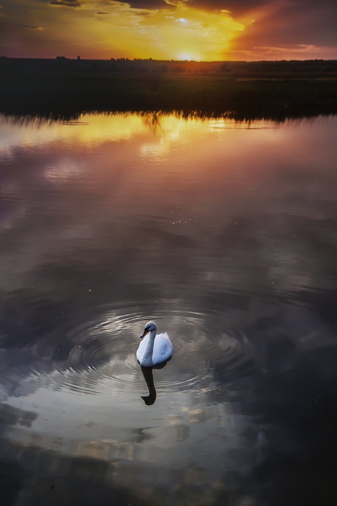 Photograph by Юрий Трофимов