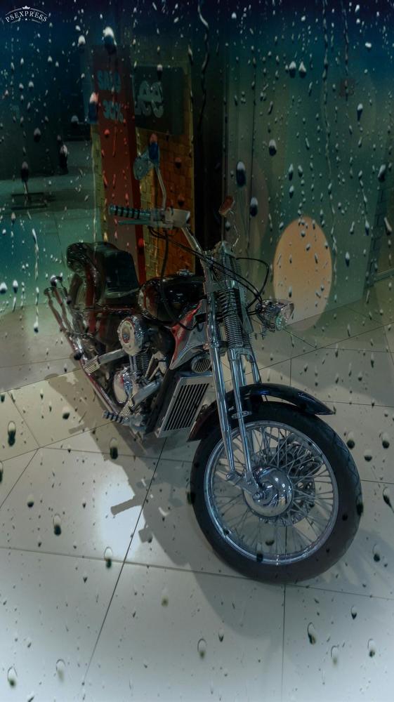 Photo #4215906