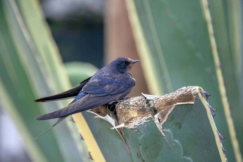 Photograph by Юрий Исаев