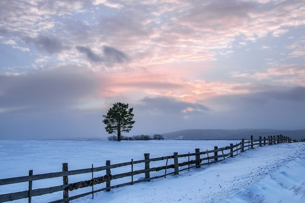 Защищенность
