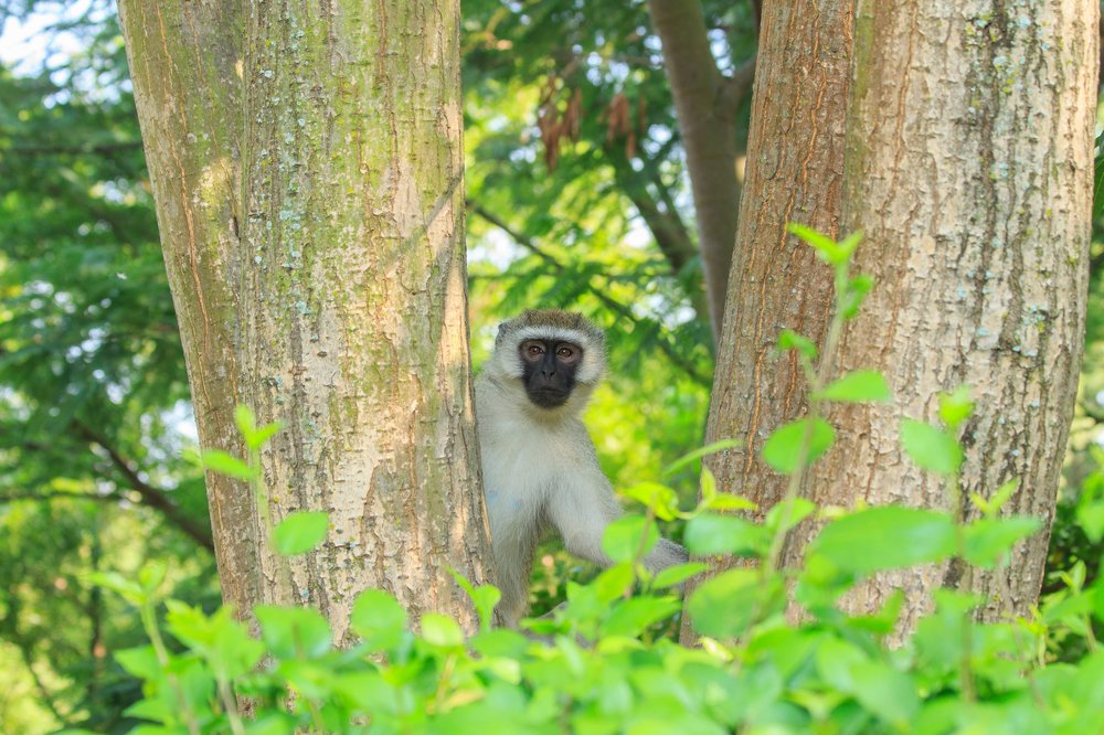 Photograph by Михаил