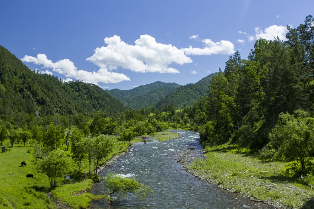 Photograph by Иван Долгов