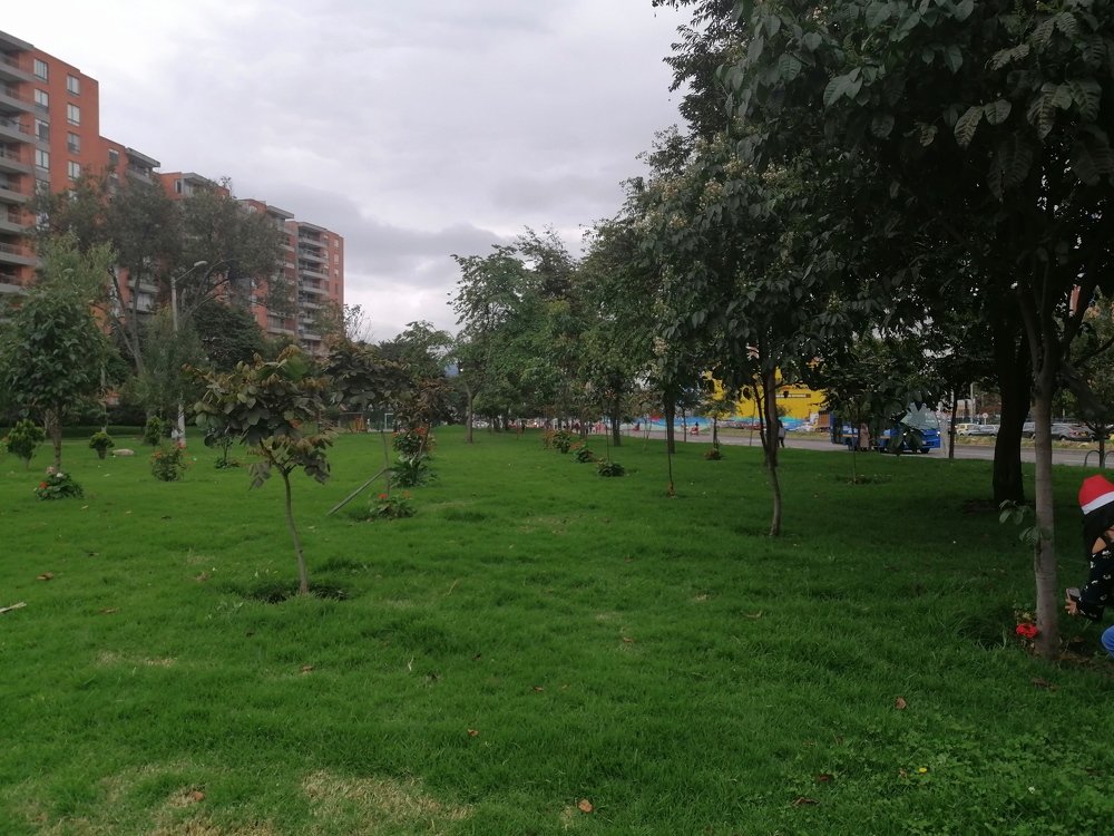 Photo #4216072