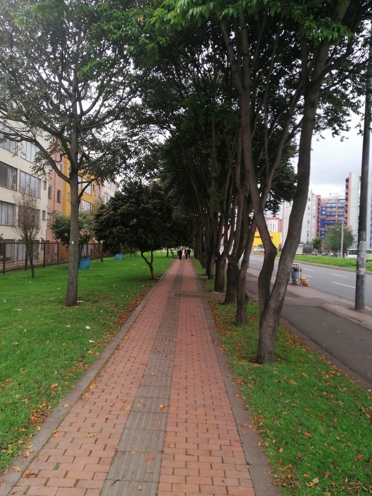 Photo #4216127