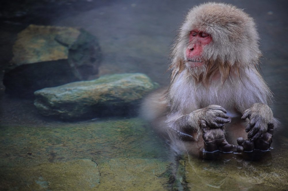 Photograph by Евгения Черентаева