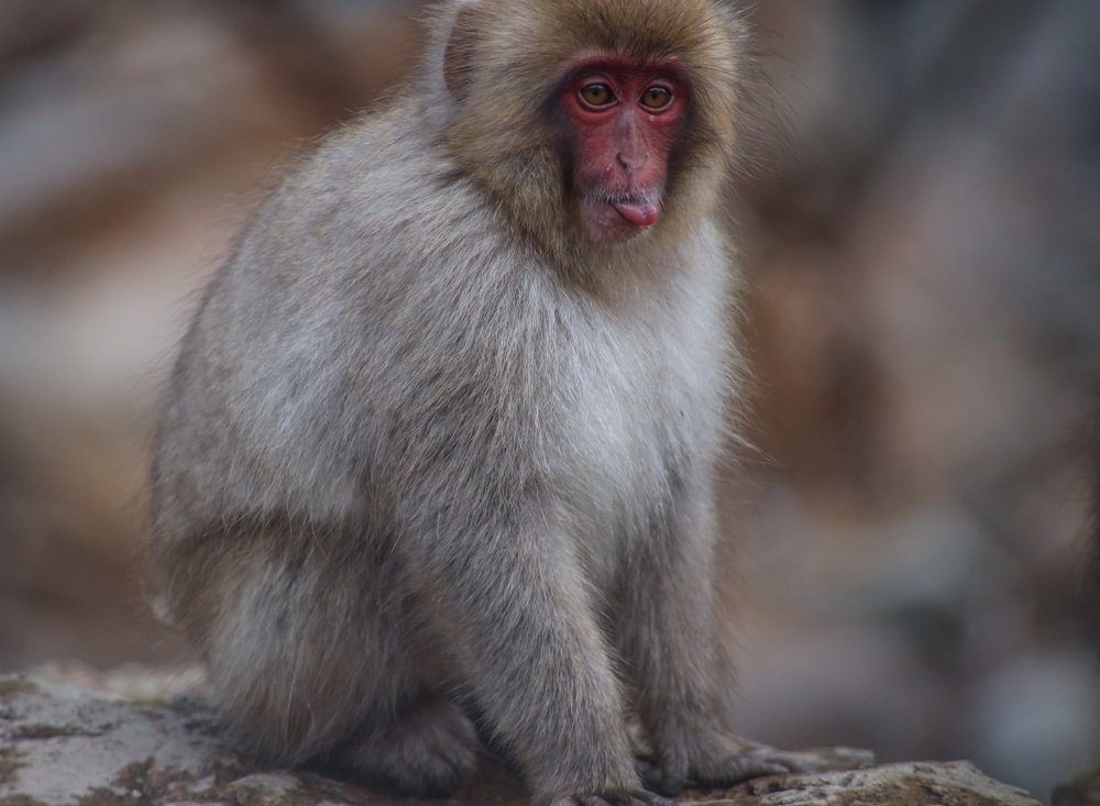 Photograph by Евгения Черентаева