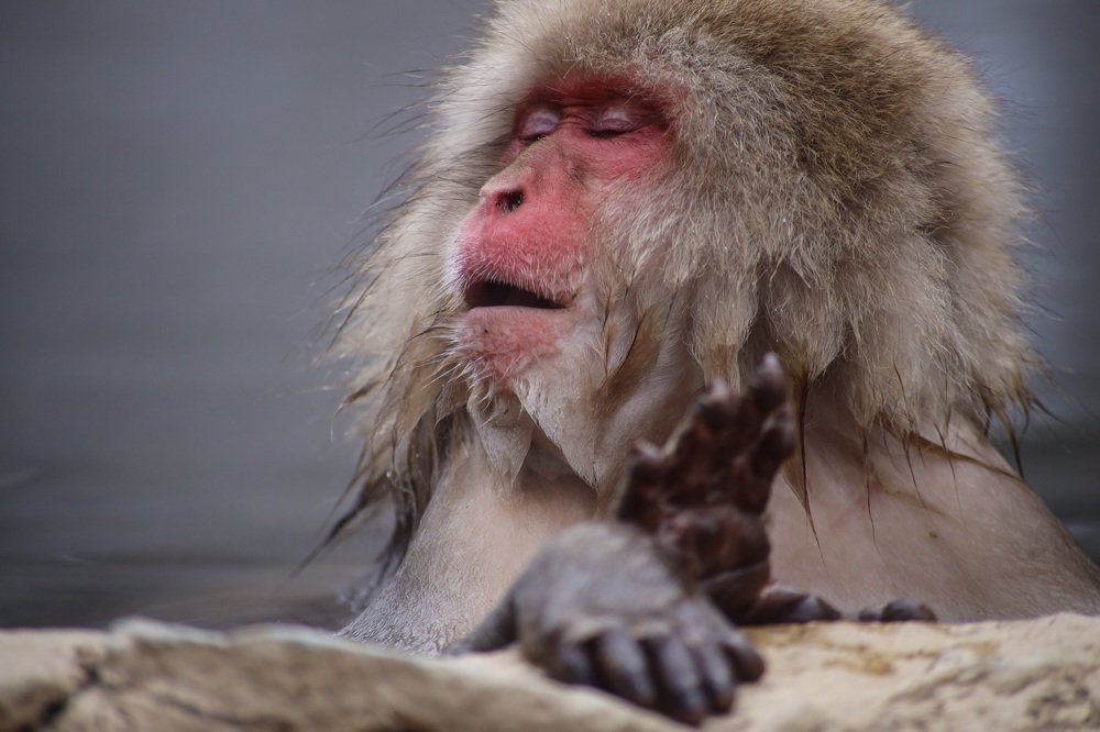 Photograph by Евгения Черентаева