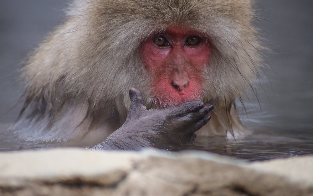 Photograph by Евгения Черентаева