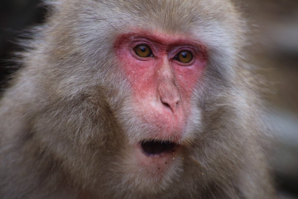 Photograph by Евгения Черентаева