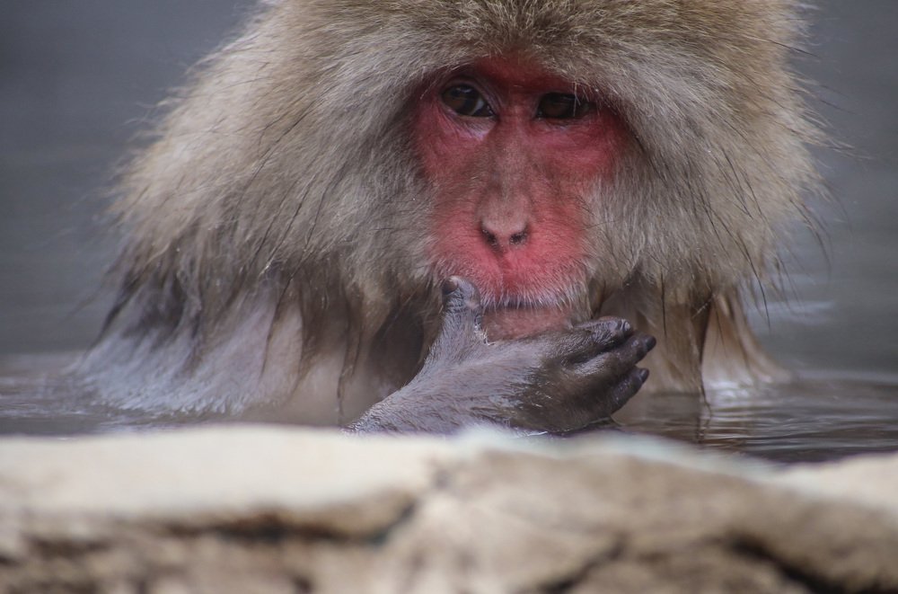 Photograph by Евгения Черентаева