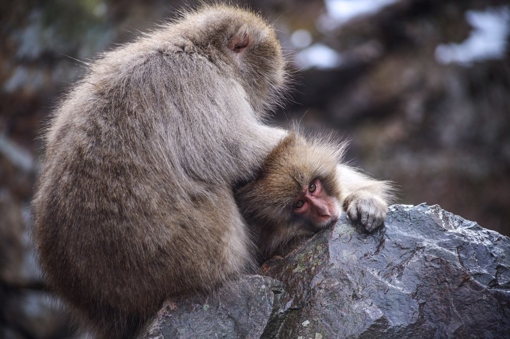 Photograph by Евгения Черентаева