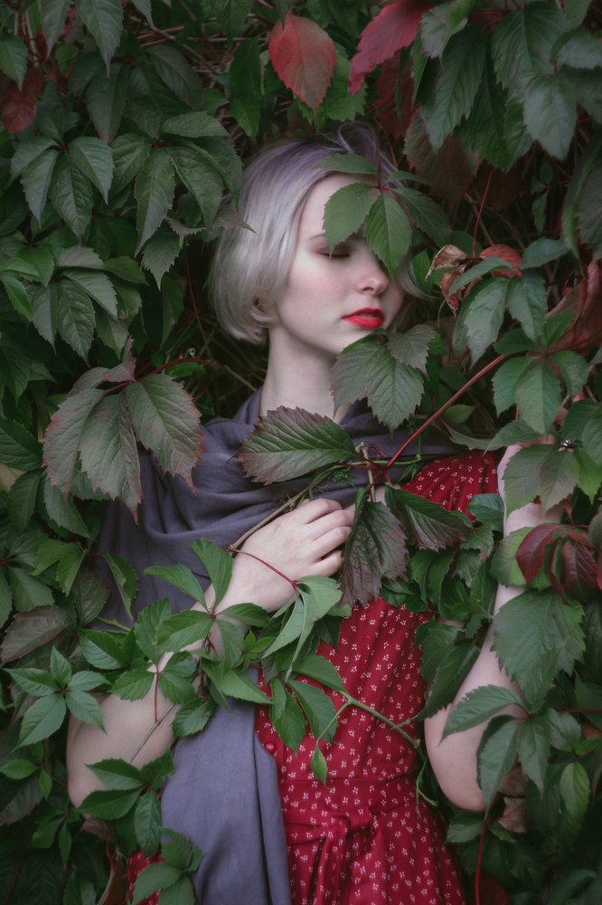 Photograph by Анна Фан-Юнг