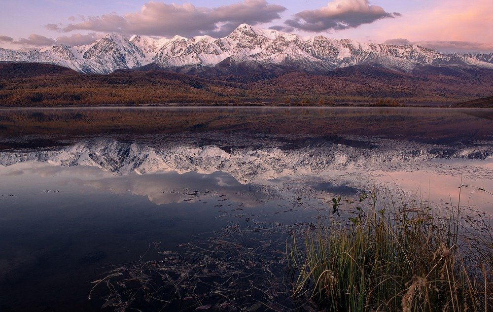 Photograph by Марина Фомина