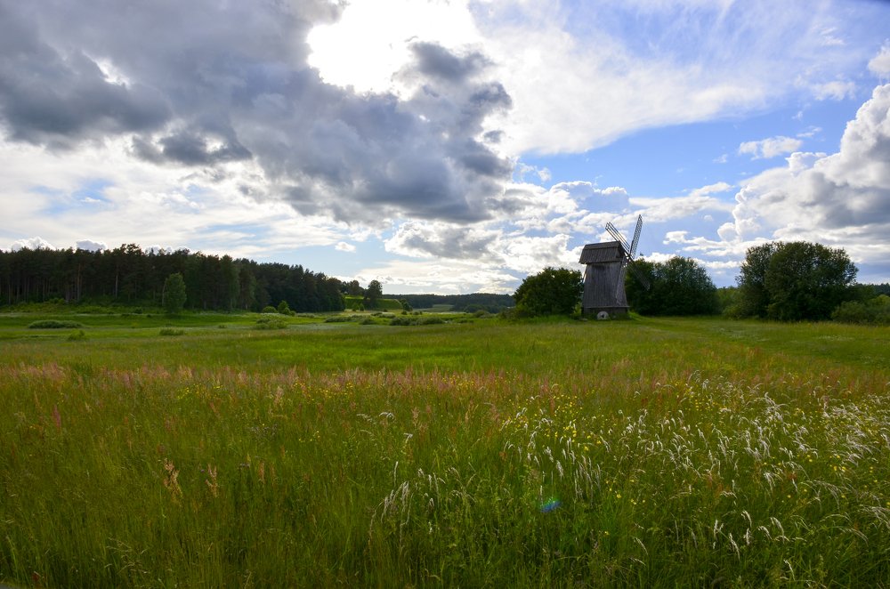 Музей-мельница в деревне Бугрово, Пушкинские Горы ..