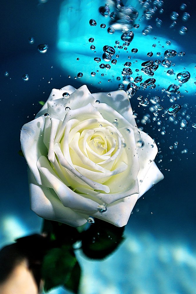 Photograph by Тетяна Тарасенко