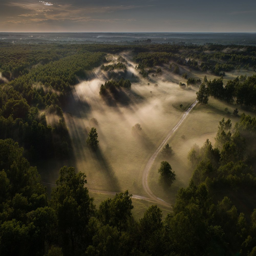 Туманный вечер после дождя