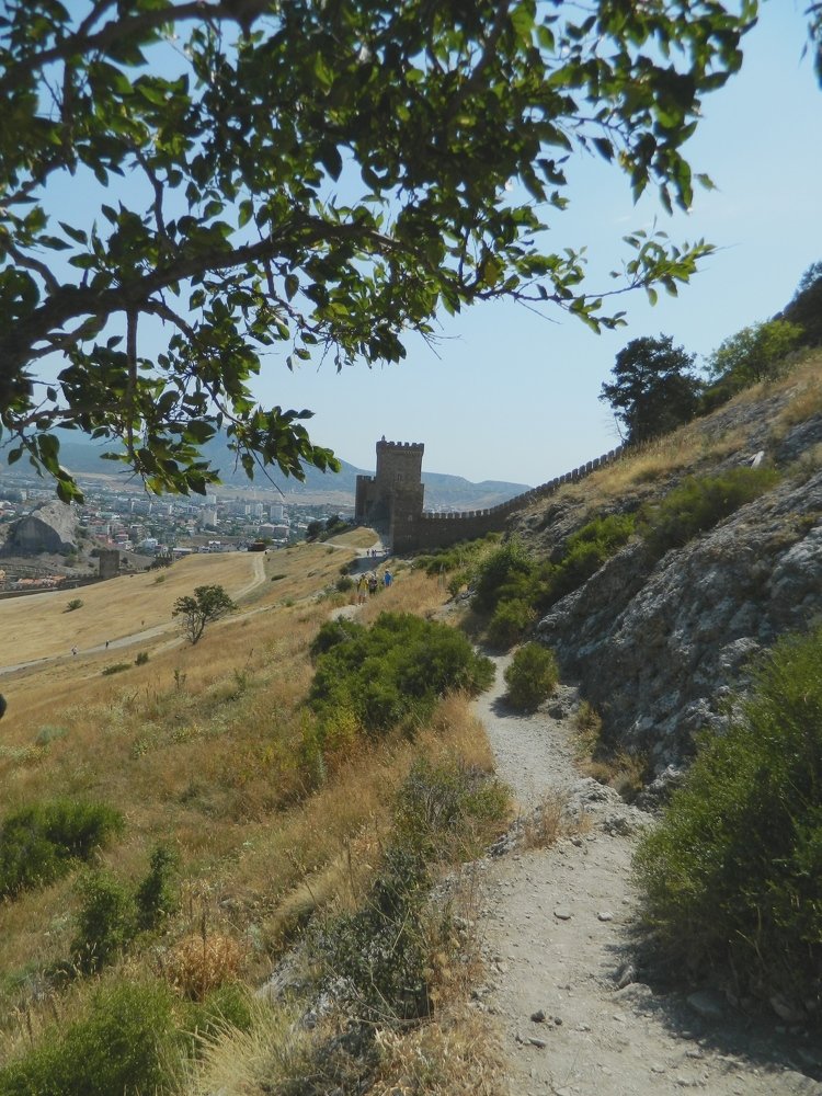 Photograph by Никитина Анна