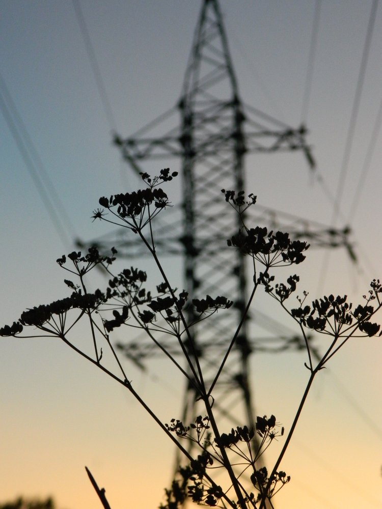 Photograph by Никитина Анна