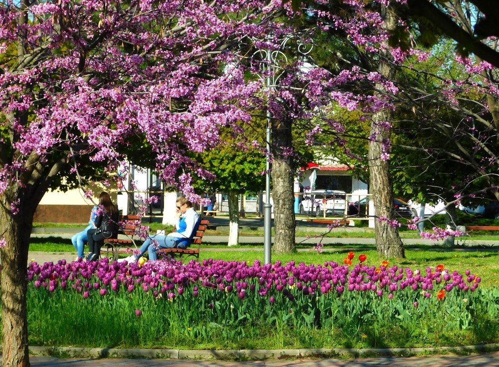 Photograph by Светлана Карпенко