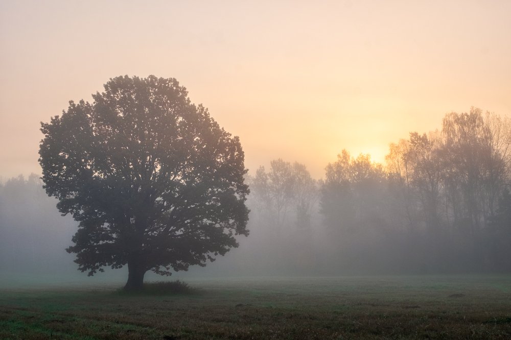Photograph by Ольга Максимова