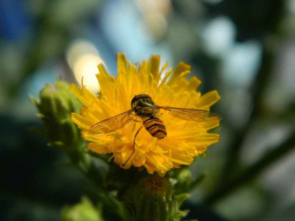 Photograph by Никитина Анна