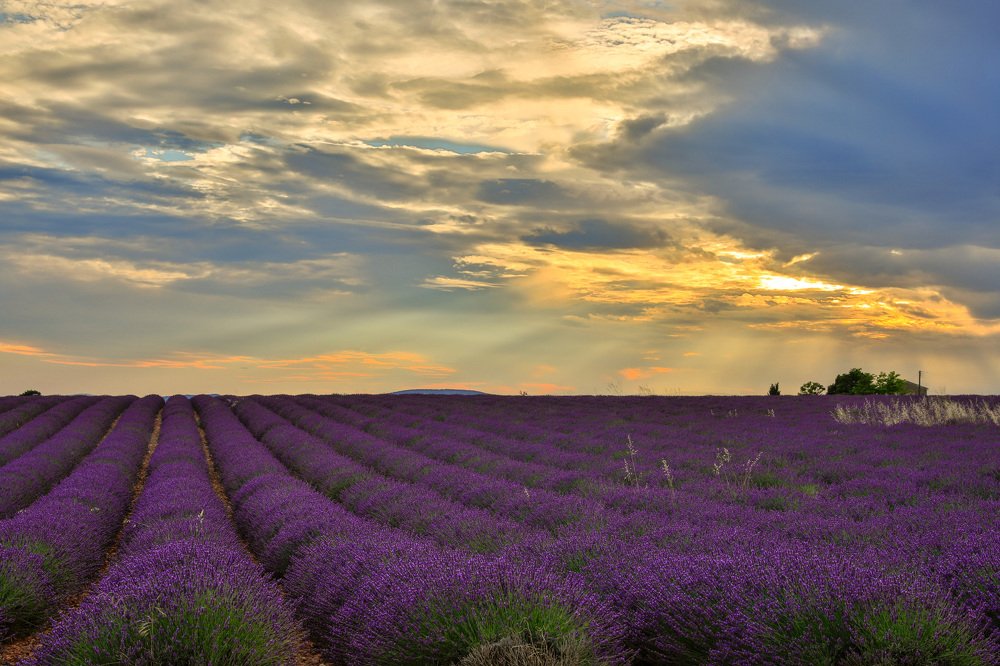 Photograph by Евгения Чех