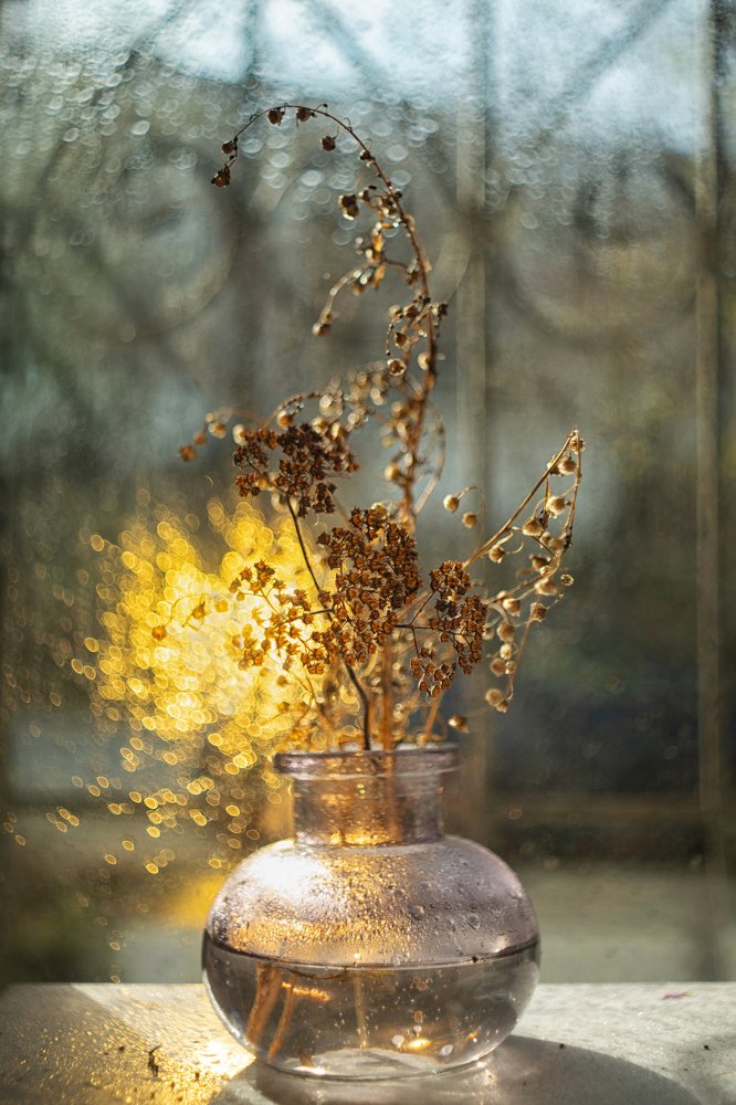 Photograph by Виктория Семернова