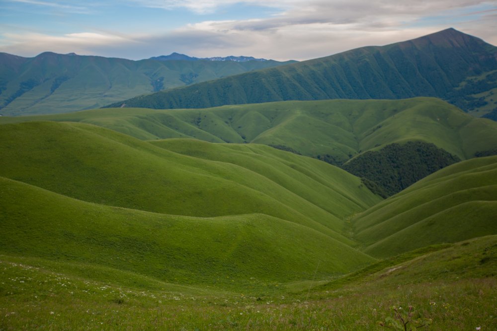 Photograph by Наталья Домбак