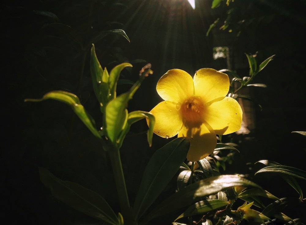 Photograph by DEBDIPTO BAKSHI