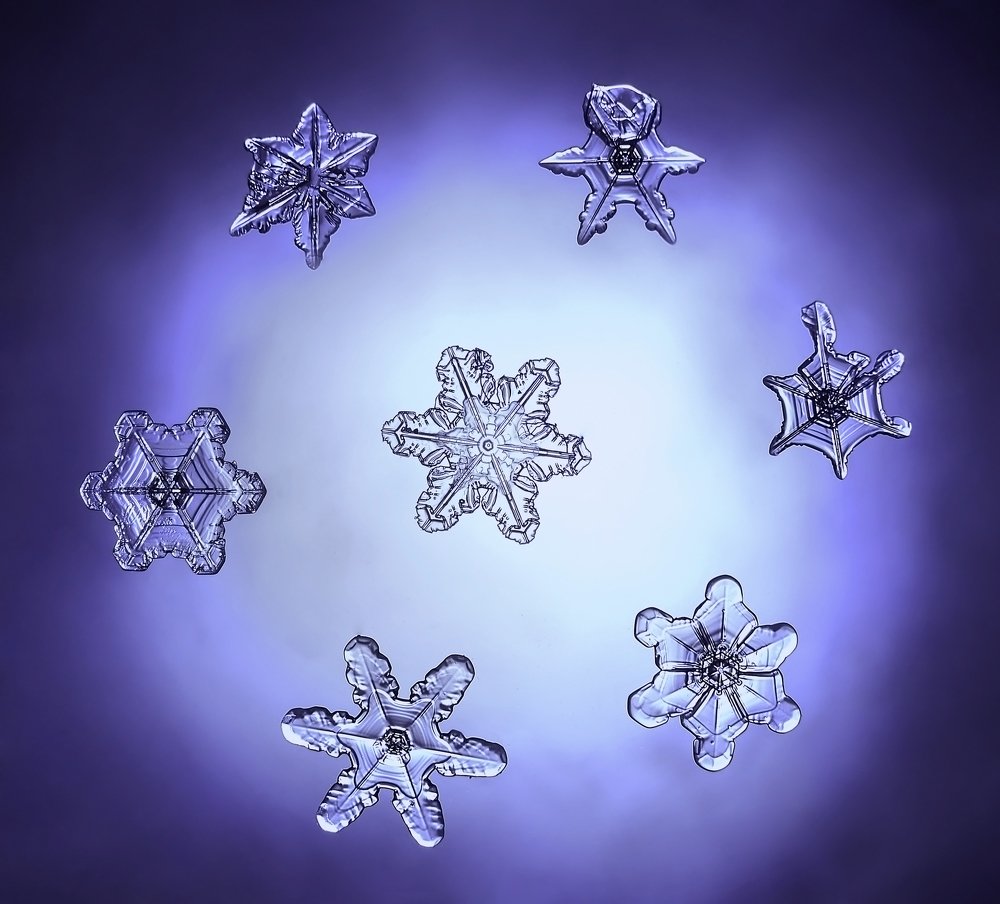 Photograph by Эля Draw