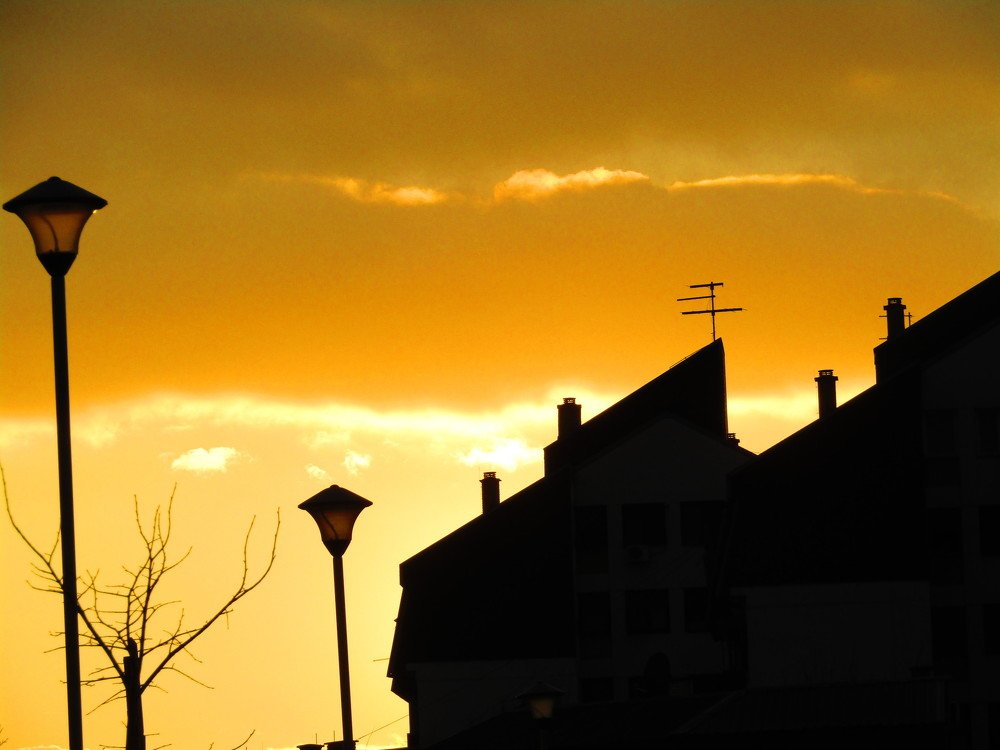 Photograph by Darko Milojevic