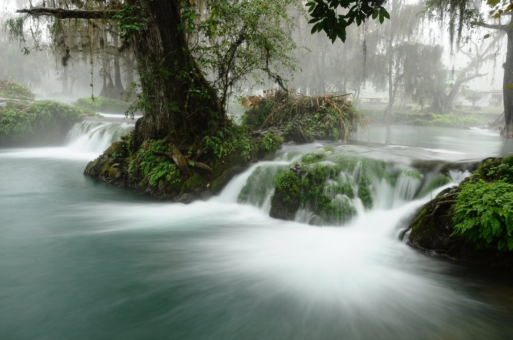 Photograph by Daniel Díaz