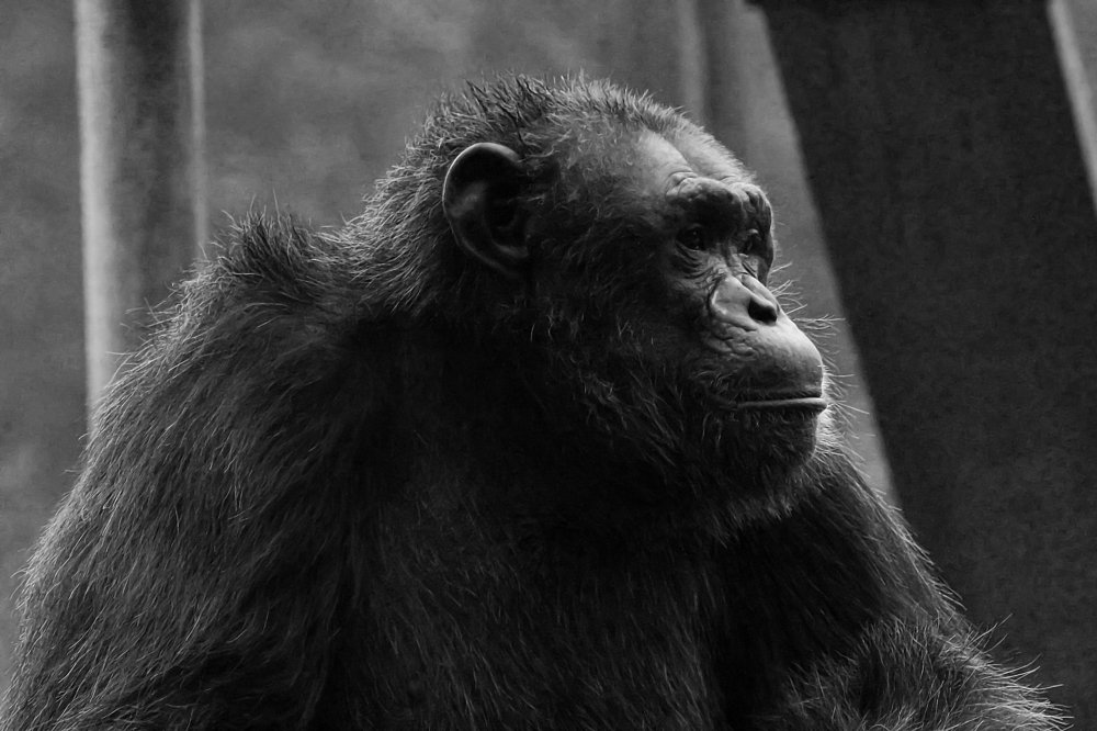 Photograph by SANDIP BANERJEE