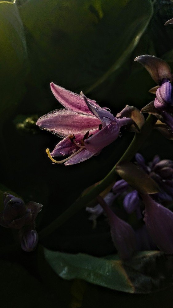 Photograph by Софья