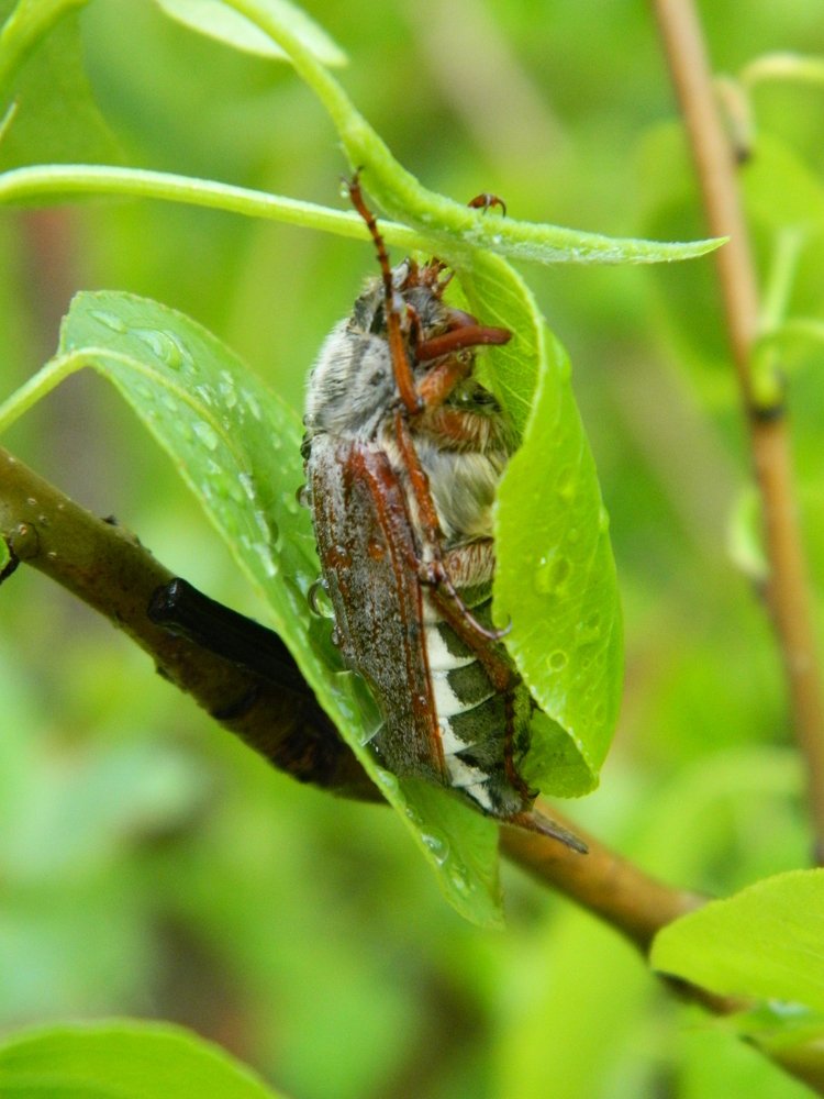 Photograph by Никитина Анна