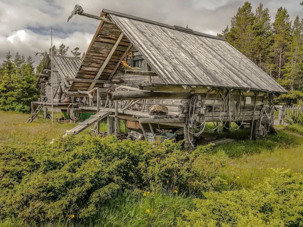 У леса на опушке