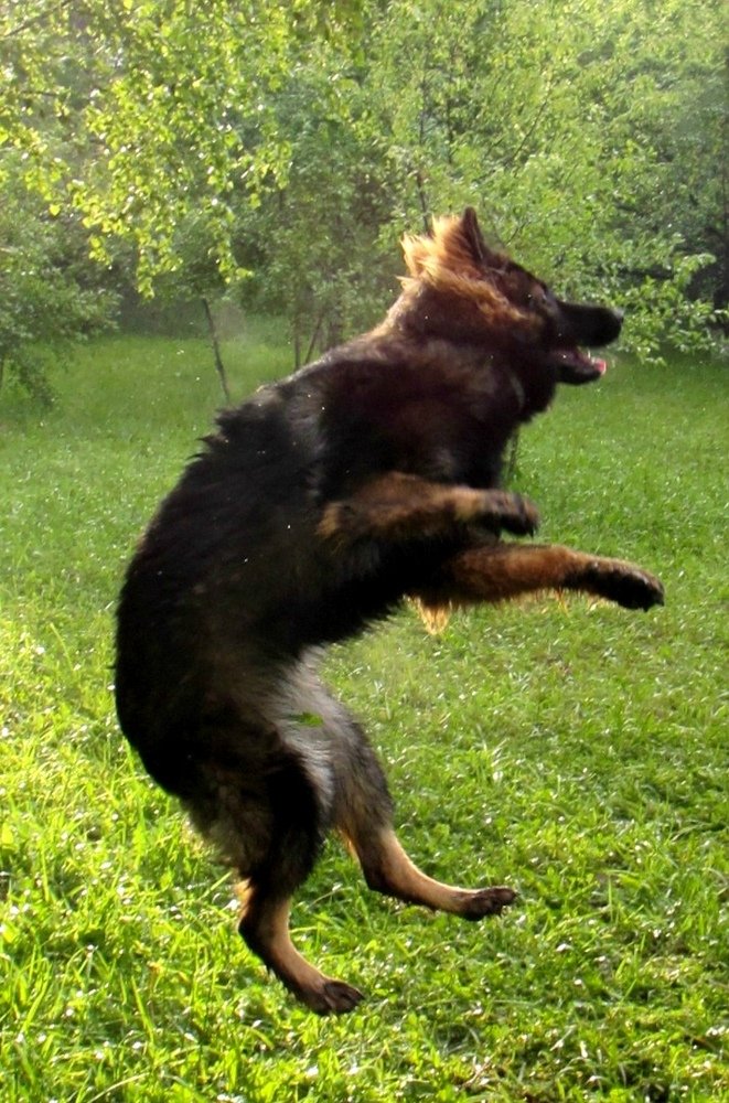 Photograph by Анастасия Рысь