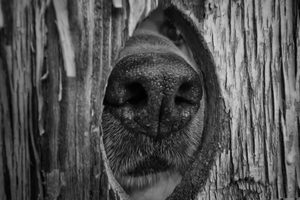 Photograph by Viktoria Alaküla